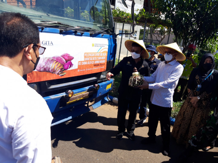 Menteri Pertanian (Mentan) Syahrul Yasin Limpo menyatakan komoditas pertanian di Indonesia saat ini dilirik sejumlah negara di Eropa maupun Asia. Hal ini dibuktikan dengan peningkatan ekspor sebesar 36,2% pada triwulan pertama.
