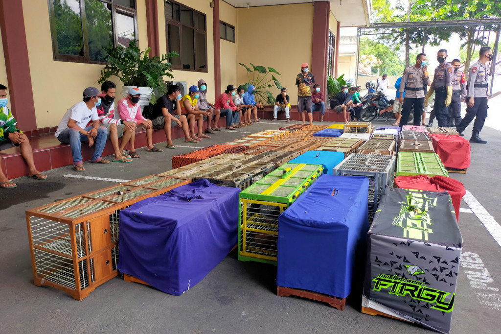 Anggota Sabhara Polresta Tasikmalaya telah berhasil menggerebek lokasi perlombaan latihan turnamen burung merpati aduaan yang dilakukan di Jalan Swaka, Kecamatan Kawalu, Kota Tasikmalaya, Senin, 5 Juli 2021. 