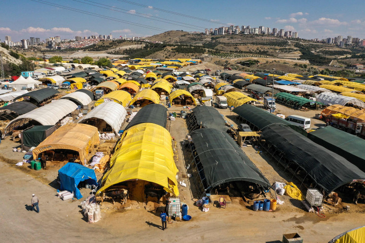 Suasana pasar darurat yang didirikan untuk menjual hewan kurban menjelang Hari Raya Idul Adha di lingkungan Yakacik di Ankara, Turki.