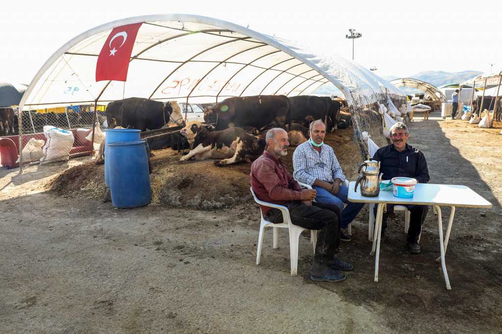 Para pria menunggu pembeli hewan kurban di pasar darurat yang didirikan oleh Kotamadya Yenimahalle menjelang hari raya Idul Adha di lingkungan Yakacik di Ankara, Turki.