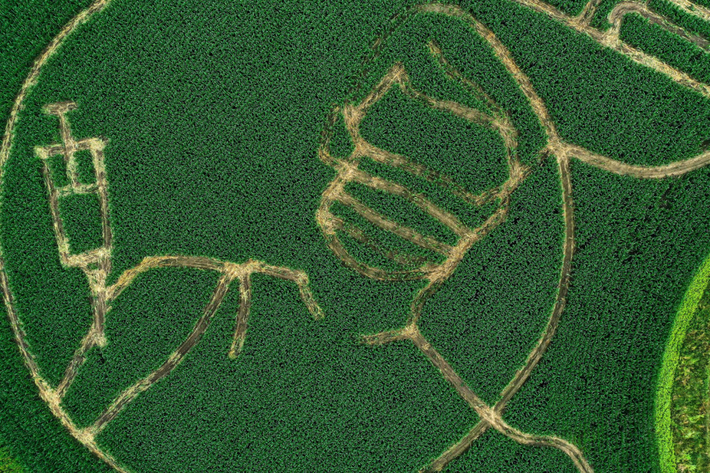 Labirin yang dibuat oleh Benedikt Luenemann itu akan dibuka untuk pengunjung mulai 16 Juli hinga Halloween pada akhir Oktober.