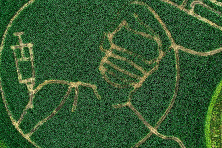 Labirin yang dibuat oleh Benedikt Luenemann itu akan dibuka untuk pengunjung mulai 16 Juli hinga Halloween pada akhir Oktober.