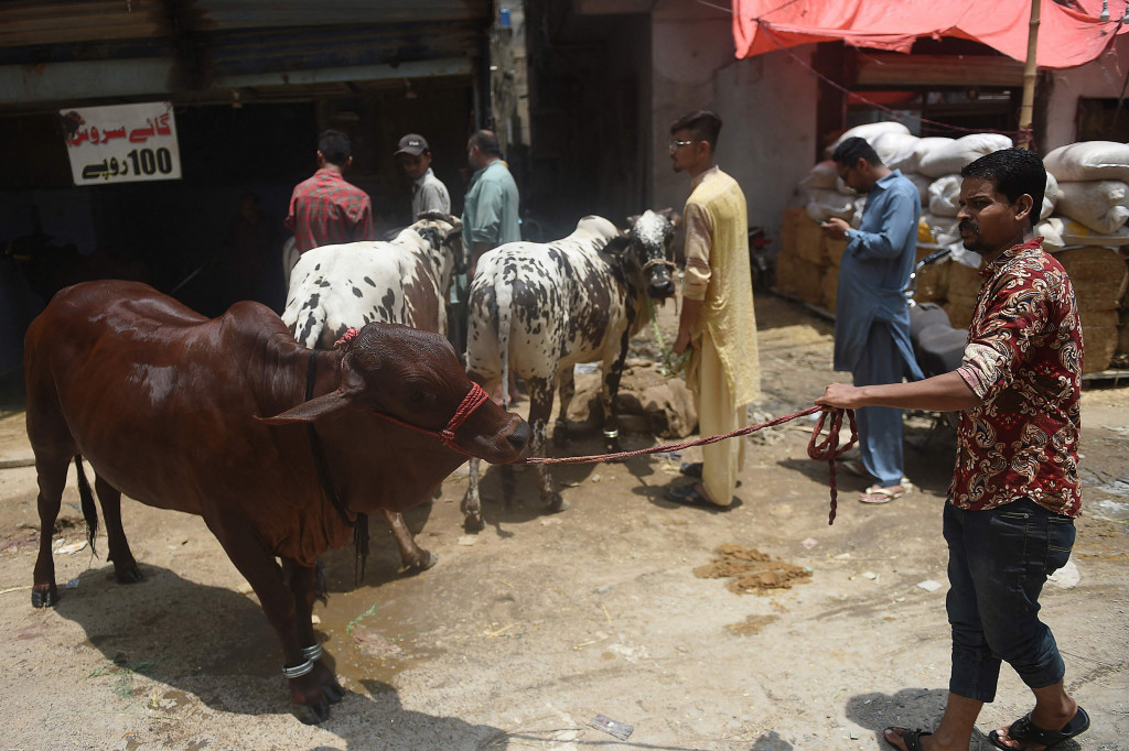 Pelanggan membawa sapinya untuk dimandikan di tempat cucian mobil di Karachi, Pakistan.