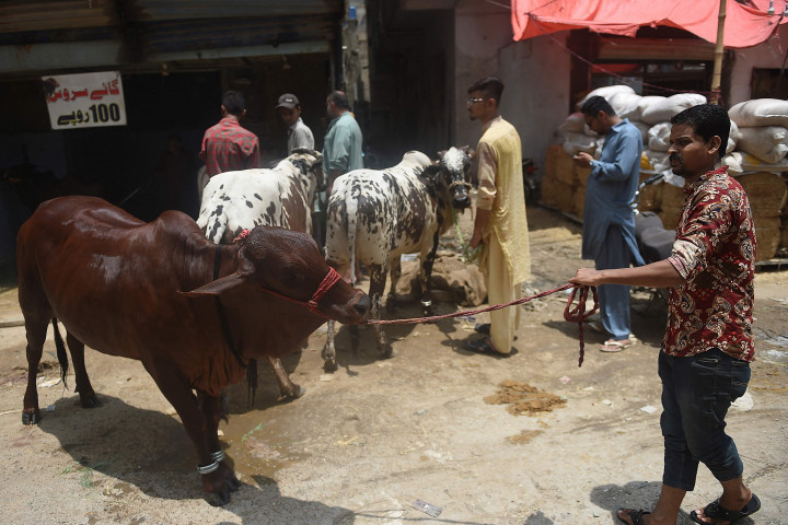 Pelanggan membawa sapinya untuk dimandikan di tempat cucian mobil di Karachi, Pakistan.