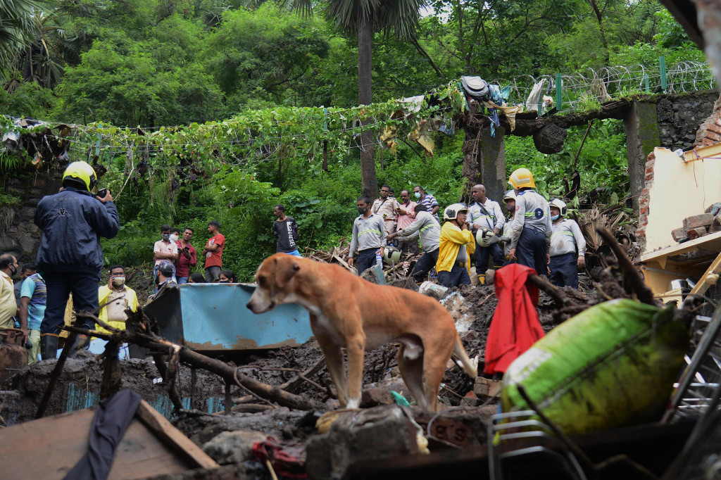 Sepuluh jasad korban telah dievakuasi Korporasi Brihan Mumbai (BMC) dan lima petugas pemadam kebakaran. Satu tambahan jenazah ditemukan saat personel NDRF tiba di lokasi kejadian.
