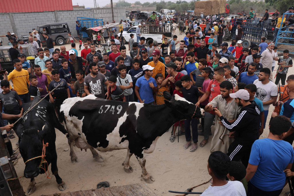 Kesulitan tidak hanya dirasakan oleh pedagang pakaian dan aksesorinya, tetapi juga pedagang hewan kurban.