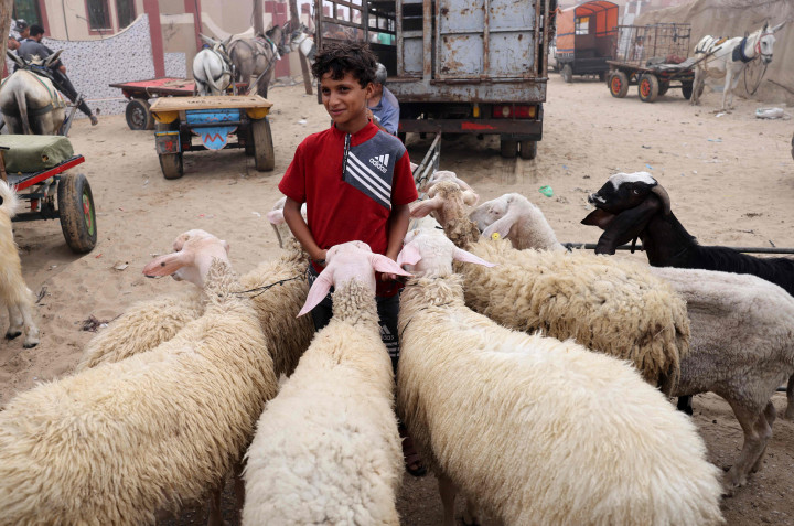 Palestina berharap mampu mendapat keuntungan dari hasil penjualan hewan kurban. Uang yang didapat penting bagi para pedagang untuk bertahan hidup, apalagi ketika dampak dari pertempuran dengan Israel masih terasa. Sayangnya, penjualan sejauh ini tidak sesuai ekspektasi.