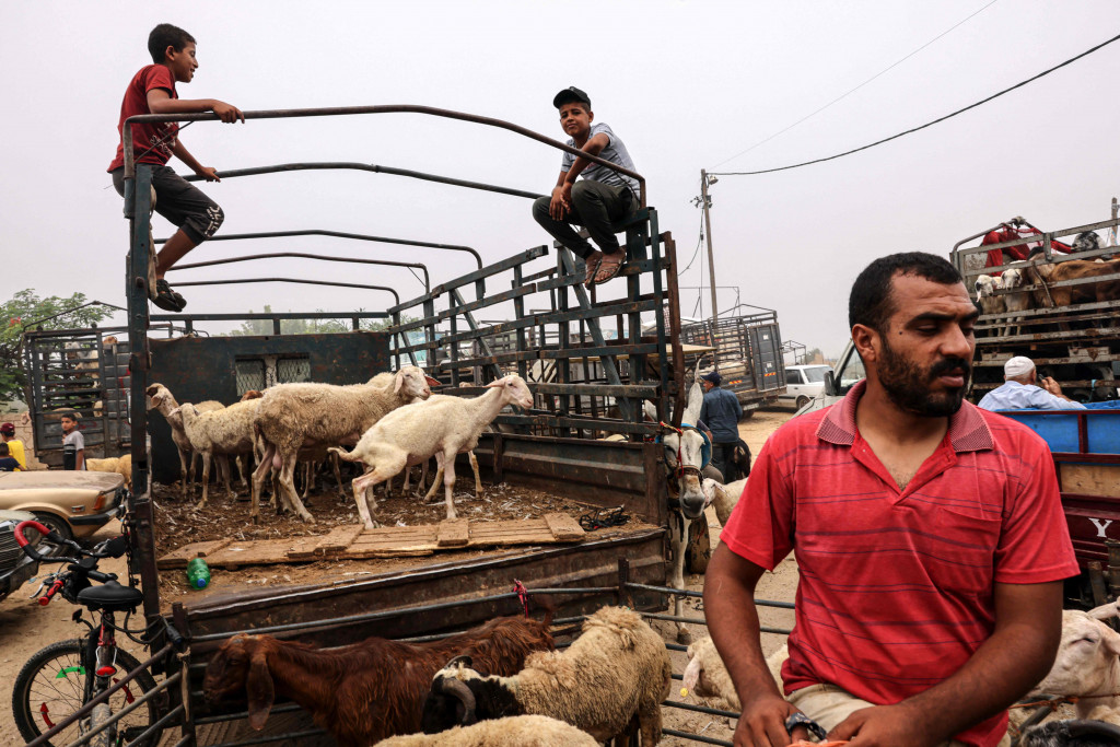 Perekonomian Palestina yang terdampak blokade, perang, dan pandemi Covid-19 menyebabkan warga kesulitan membeli hewan kurban.