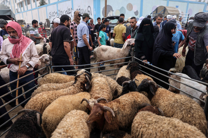 Dampaknya, di berbagai pasar hewan, para pedagang dan peternak sampai harus membawa pulang hewan kurban mereka yang tak laku. 