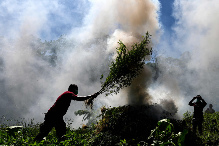 Deputi Pemberantasan BNN RI,  Irjen Pol (P) Arman Depari mengatakan operasi ladang ganja akan dilakukan sepanjang tahun, untuk memberantas penggunaan dan peredaran narkoba di Aceh.