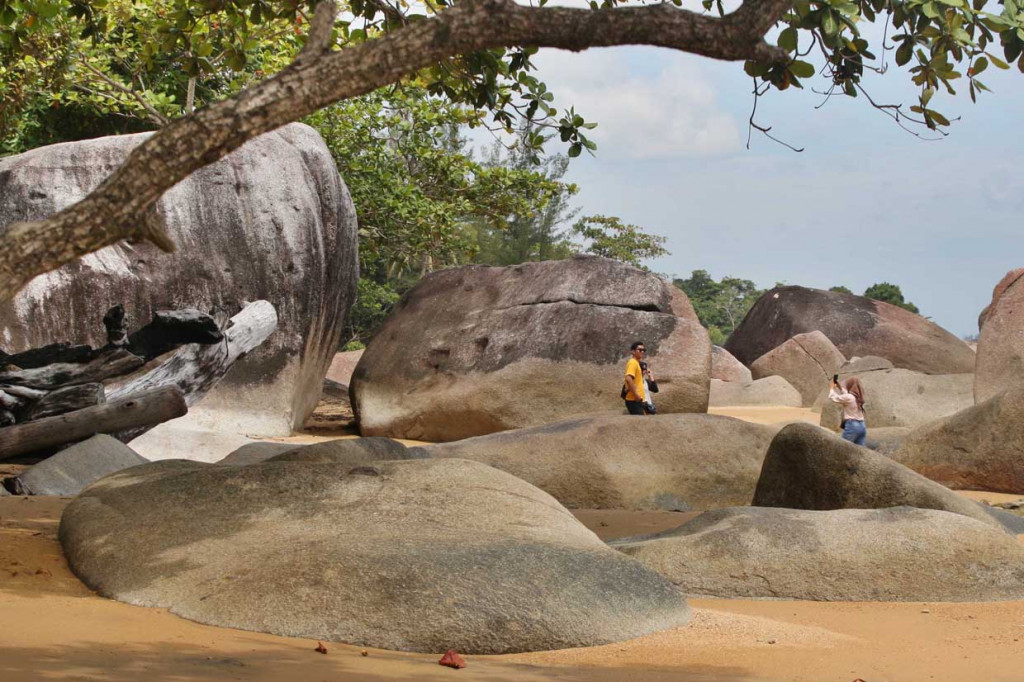 Temajuk merupakan desa wisata yang menjadi primadona pariwisata andalan Kabupaten Sambas yang berada di pesisir utara Kalimantan Barat bersebelahan dan berbatasan langsung dengan Teluk Melano, Sarawak, Malaysia. 