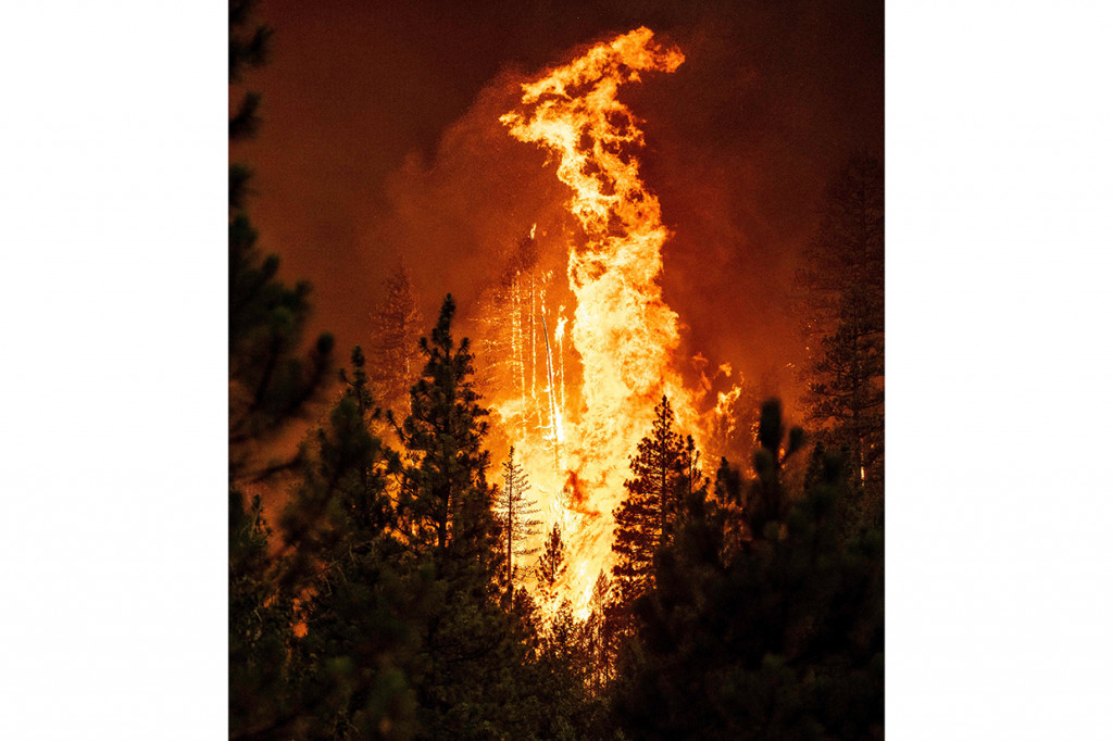 Kebakaran yang membakar lebih dari 250.000 hektar hutan tersebut terus mendekati kawasan perumahan. Kondisi kering dan berangin menyebabkan peningkatan kebakaran dan menyulitkan petugas pemadam untuk memadamkan api.