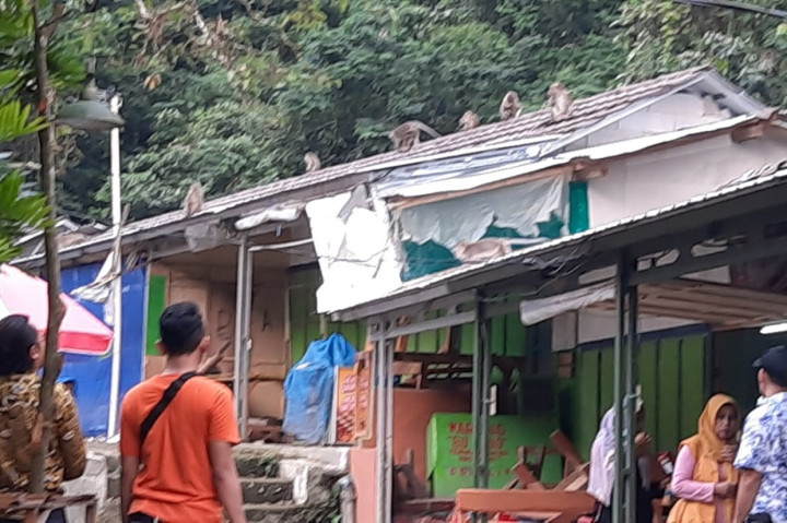 Ratusan monyet turun dari kawasan Gunung Galunggung secara bergerombol dan membabi buta menyerang serta merusak pintu juga genting untuk mencari makanan. Namun, puluhan ekor lain menghabiskan makanan di dalam warung milik pedagang dengan mengacak-mengacak seisi ruangan.