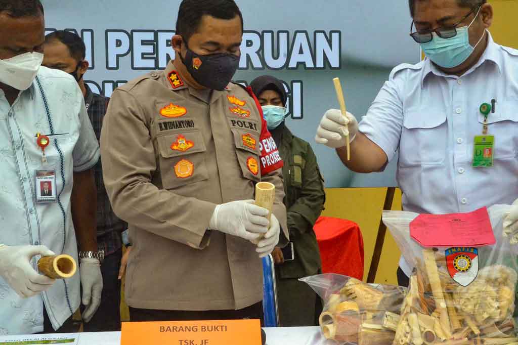 Tim Opsnal Satuan Reskrim Polres Aceh Timur berhasil mengungkap dan mengamankan lima pelaku tindak kejahatan pemburuan hewan dilindungi dengan insial JN, EM, SN, JF, dan RN beserta barang bukti berupa gading gajah yang telah diolah menjadi badik, pipa rokok, gagang rencong, dan beberapa aksesoris lainnya.