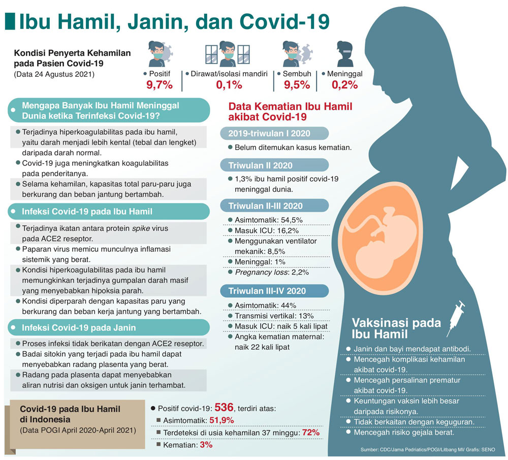 Ibu Hamil Bertarung Nyawa karena Covid-19