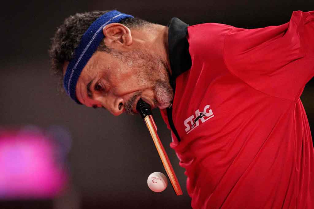 Gambar menakjubkan dari Hamadtou memegang bet di mulutnya dan menyerang balik lawan menjadi viral pada 2014 ketika ia tampil di Kejuaraan Beregu Dunia sebagai tamu kehormatan, berbaris melawan atlet-atlet terbaik dunia.