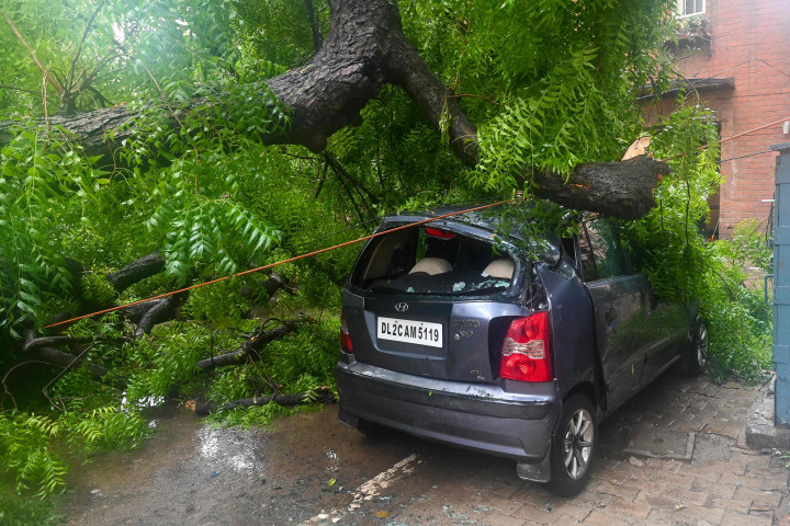Sebuah mobil rusak tertimpa pohon yang tumbang setelah hujan lebat di New Delhi, India.