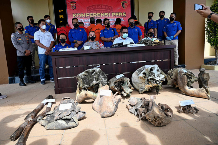 Kapolres Aceh Jaya AKBP Harlan Amir di Calang, Rabu, mengatakan telah melakukan penyelidikan kasus tersebut pada Jumat tanggal 27 Agustus 2021 tim Reskrim Polres Aceh Jaya berhasil menangkap sebanyak tujuh pelaku, yaitu 6 pelaku ditangkap di Gampong Tuwi Periya Kecamatan Pasie Raya, Aceh Jaya dan 1 orang pelaku ditangkap di Banda Aceh.