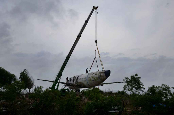 Demin berharap proyek tersebut menawarkan harapan untuk kebangkitan pariwisata di Bali, tetapi beberapa pengguna media sosial menyatakan khawatir bahwa penempatan pesawat itu akan merusak pemandangan pantai.