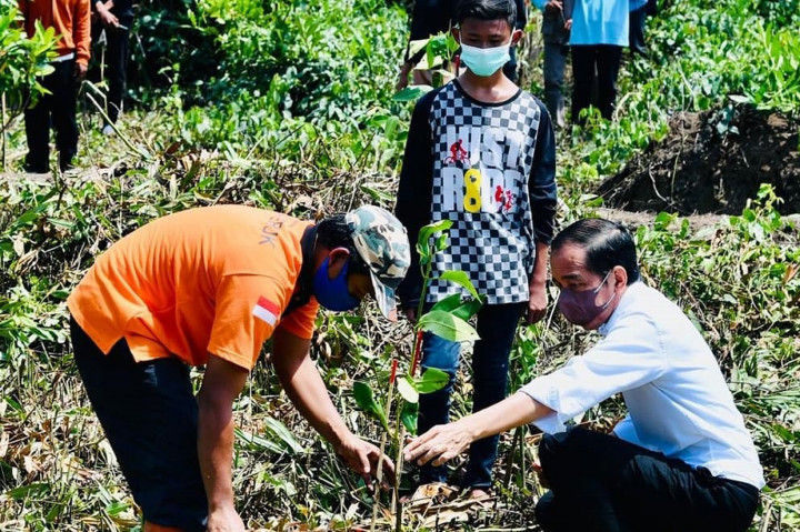 Tak hanya di Cilacap, Jawa Tengah, penanaman mangrove ini juga dilakukan serentak di sembilan provinsi lainnya yang juga turut disaksikan Presiden melalui konferensi video. Sembilan daerah tersebut adalah Sumatra Utara, Kepulauan Bangka Belitung, Kepulauan Riau, Riau, Kalimantan Barat, Kalimantan Timur, Kalimantan Utara, Papua, dan Papua Barat.