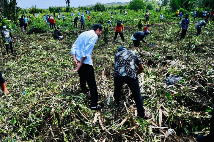 Salah satu warga mengatakan penanaman dilakukan di Rawa Payau. Hal ini dilakukan karena mangrove di sana kurang dan perlu kembali ditumbuh kembangkan.