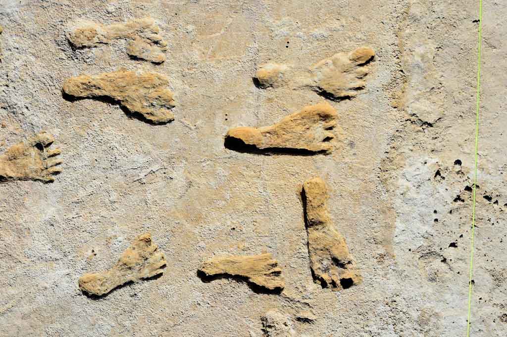 Gambar tak bertanggal milik National Park Service dan Bournemouth University menunjukkan jejak kaki fosil yang ditemukan di New Mexico, Amerika Serikat.