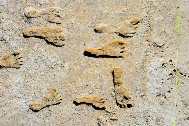 Gambar tak bertanggal milik National Park Service dan Bournemouth University menunjukkan jejak kaki fosil yang ditemukan di New Mexico, Amerika Serikat.