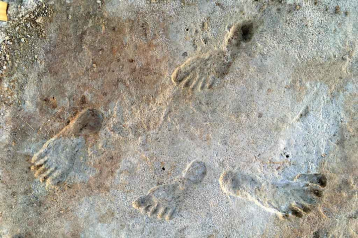 Temuan ini mendorong mundur tanggal di mana benua itu dijajah oleh penghuni pertamanya selama ribuan tahun.