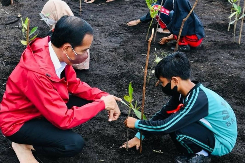 Presiden Joko Widodo menanam mangrove bersama masyarakat di Pantai Wisata Raja Kecik, Kabupaten Bengkalis, Riau, Selasa, 28 September 2021.