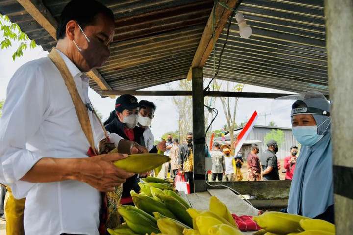 Disela-sela rangkaian kunjungan kerja ke Kabupaten Sorong, Papua Barat, Presiden Joko Widodo menyempatkan diri mampir untuk membeli jagung rebus di penjual pinggir jalan.