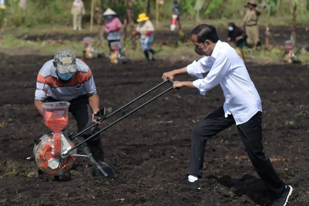 Presiden Joko Widodo menjajal proses menanam bibit jagung di ladang saat melakukan kunjungan kerja di Sorong, Papua Barat, Senin, 4 Oktober 2021.