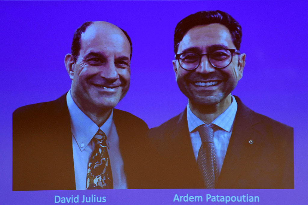 Ilmuwan AS David Julius dan Ardem Patapoutian pada hari Senin, 4 Oktober 2021 waktu setempat, memenangkan Hadiah Nobel Kedokteran 2021, untuk penemuan reseptor suhu dan sentuhan.
