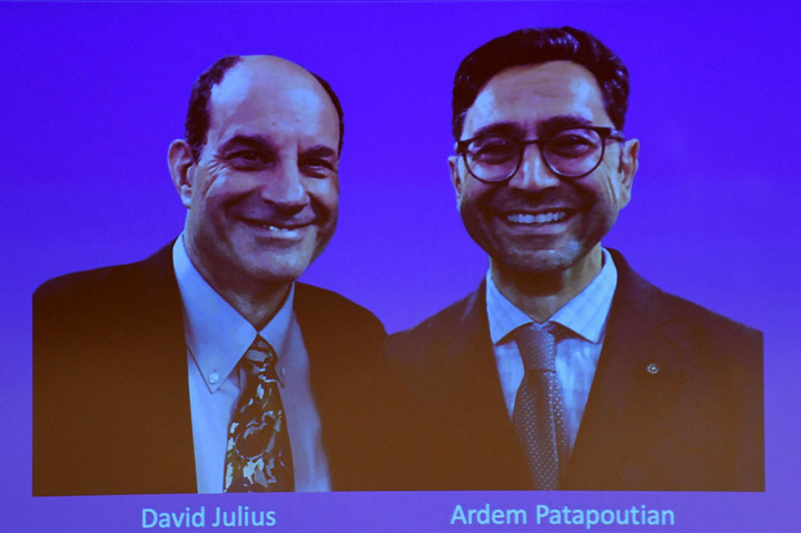 Ilmuwan AS David Julius dan Ardem Patapoutian pada hari Senin, 4 Oktober 2021 waktu setempat, memenangkan Hadiah Nobel Kedokteran 2021, untuk penemuan reseptor suhu dan sentuhan.