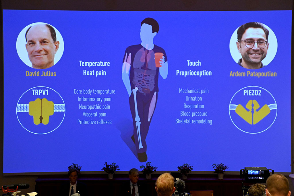 Penelitian duo ini, yang dilakukan secara independen satu sama lain pada akhir 1990-an dan 2000-an, digunakan untuk mengembangkan perawatan untuk berbagai penyakit dan kondisi, termasuk nyeri kronis.