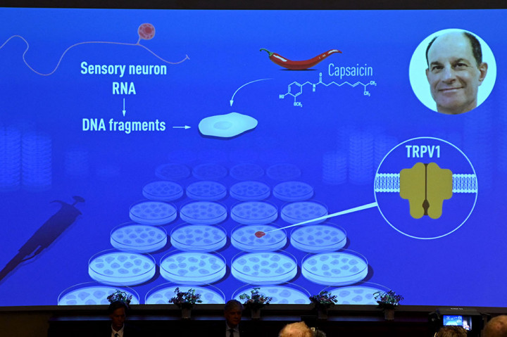 Julius, seorang profesor di University of California di San Francisco dan Patapoutian, seorang profesor di Scripps Research di California, akan berbagi cek Hadiah Nobel sebesar 10 juta kronor Swedia (USD1,1 juta, Rp15,7 miliar).