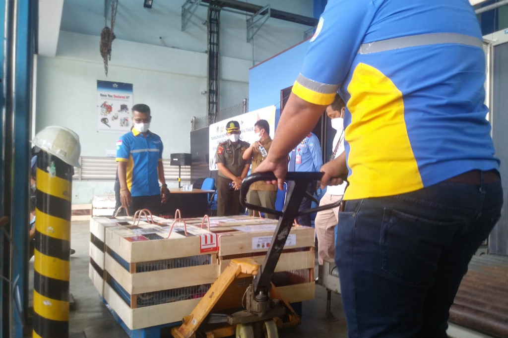 Kepala BKSDA Sumsel, Ujang Wisnu Barata mengatakan, pihaknya melakukan translokasi hewan dilindungi ini untuk menjaga ekosistem agar hewan-hewan tersebut kembali ke habitatnya masing-masing.