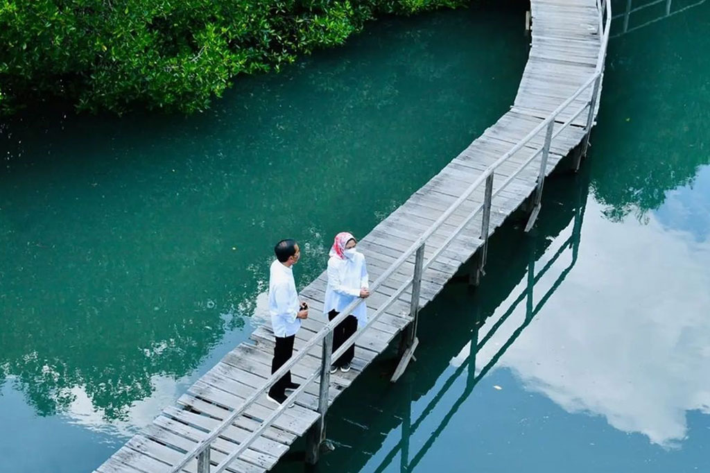Presiden Joko Widodo (Jokowi) meminta daerah lain dapat mencontoh model rehabilitasi mangrove seperti yang diterapkan di Taman Hutan Raya Ngurah Rai, Bali.