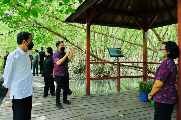 Melalui penanaman mangrove, Presiden mengungkapkan harapannya kawasan tersebut dapat mengurangi energi gelombang.