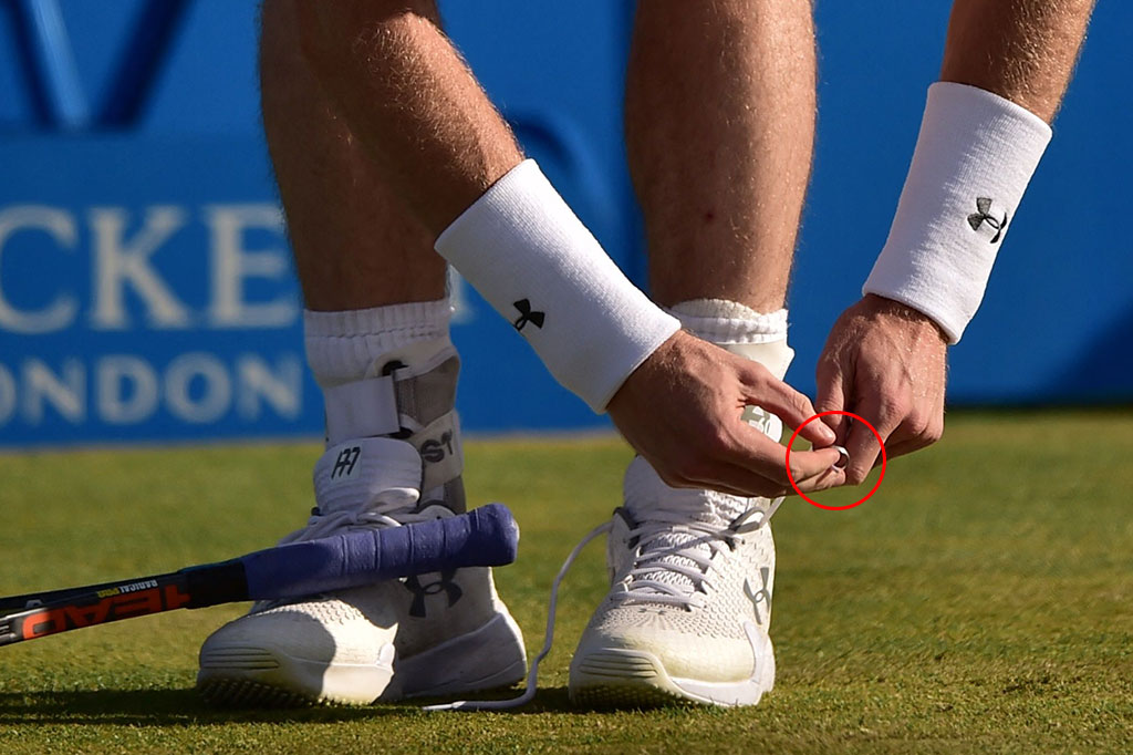 Murray pun berterima kasih kepada pengikutnya di Instagram yang telah menyebar informasi kehilangan tersebut lewat media sosial. 