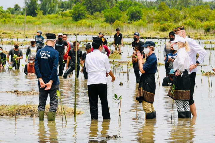 Presiden Joko Widodo (Jokowi) menanam mangrove bersama sejumlah duta besar negara sahabat dan masyarakat di Desa Bebatu, Sesayap Hilir, Kabupaten Tana Tidung, Provinsi Kalimantan Utara.