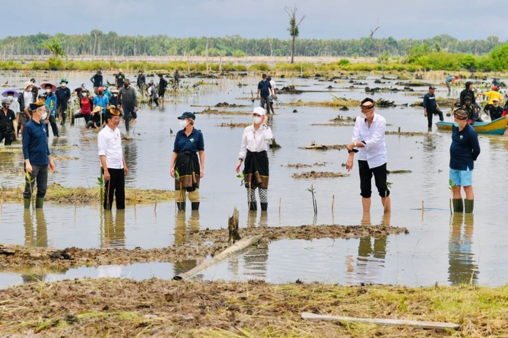 Jokowi menjelaskan, di Kalimantan Utara ada 180.000 hektar hutan mangrove yang akan direhabilitasi oleh pemerintah. Jokowi menargetkan rehabilitasi hutan mangrove di Kalimantan Utara bisa mencapai 600.000 hektar dalam tiga tahun ke depan.