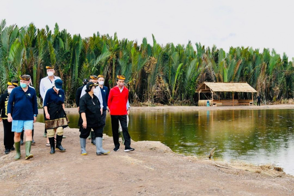 Presiden Joko Widodo datang ke Desa Bebatu untuk melakukan penanaman mangrove bersama masyarakat setempat dan para penggiat lingkungan. Selain itu, sejumlah duta besar negara sahabat tampak turut serta menanam mangrove.