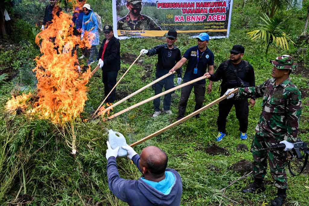 Proses pemusnahan ganja melibatkan sekitar 65 petugas gabungan dari BNNP Aceh, Polda Aceh, Kodim 0101/Aceh Besar, dan personel Polres Aceh Besar, dipimpin pelaksana tugas (Plt) Kepala Bidang Pemberantasan BNNP Aceh AKBP Mirwazi.