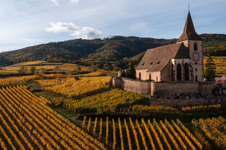 Pemandangan udara desa Hunawihr, Prancis dengan gereja Saint-Jacques-le-Majeur dan dikelilingi kebun anggur Alsace pada musim gugur, 26 Oktober 2021.
