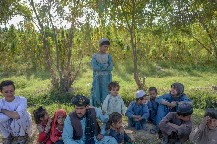 Warga Afghanistan masih mengandalkan ladang ganja sebagai mata pencaharian mereka, meski Taliban sudah mewacanakan larangan barang tersebut.