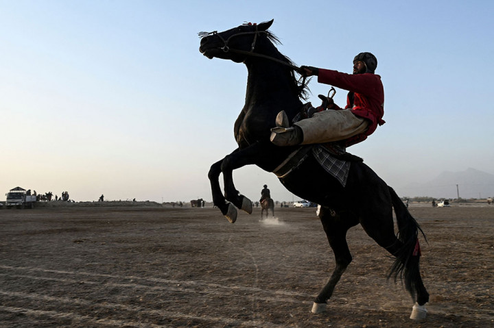 Haji Mohammad Pahlawan mengayunkan cambuknya ke udara, menarik kuda jantan abu-abunya menjauh dari bangkai anak sapi yang baru saja dilemparnya ke gawang untuk meraih kemenangan dalam turnamen buzkashi, olahraga nasional Afghanistan.