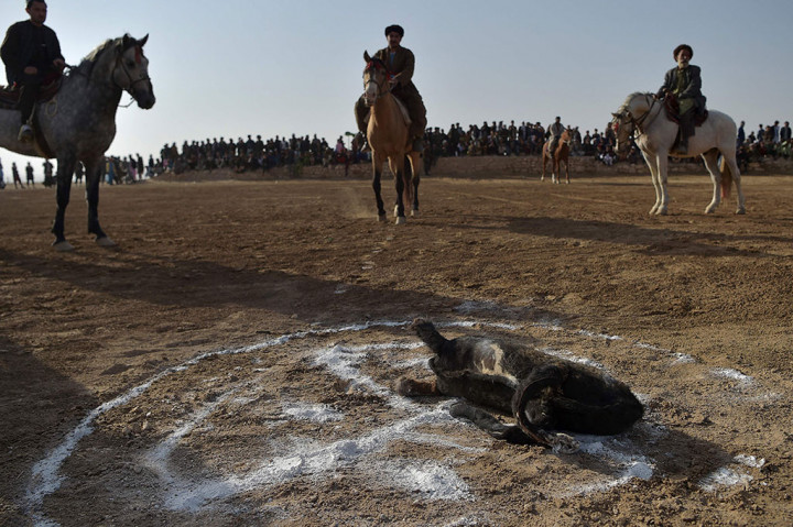 Tapi tidak hanya pejuang Taliban yang berkumpul di kerumunan setelah salat Jumat untuk menonton turnamen buzkashi -- seorang komandan lokal ikut ambil bagian, dan klub Mohammad dikapteni oleh seorang gubernur distrik.
