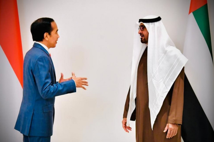 Berdasarkan keterangan tertulis dari Biro Pers, Media, dan Informasi Sekretariat Presiden, penyambutan berlangsung dalam suasana yang penuh keakraban. Usai berbincang-bincang, Pangeran Mohamed bin Zayed (MBZ) mempersilakan Presiden Jokowi memasuki ruangan istana.