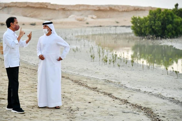 Dilansir dari situs resminya, atraksi ini dibuat untuk meningkatkan kesadaran, apresiasi, dan pemahaman tentang fungsi ekologis yang penting dari habitat bakau yang mencakup perlindungan garis pantai Abu Dhabi dan mendukung keanekaragaman hayati.