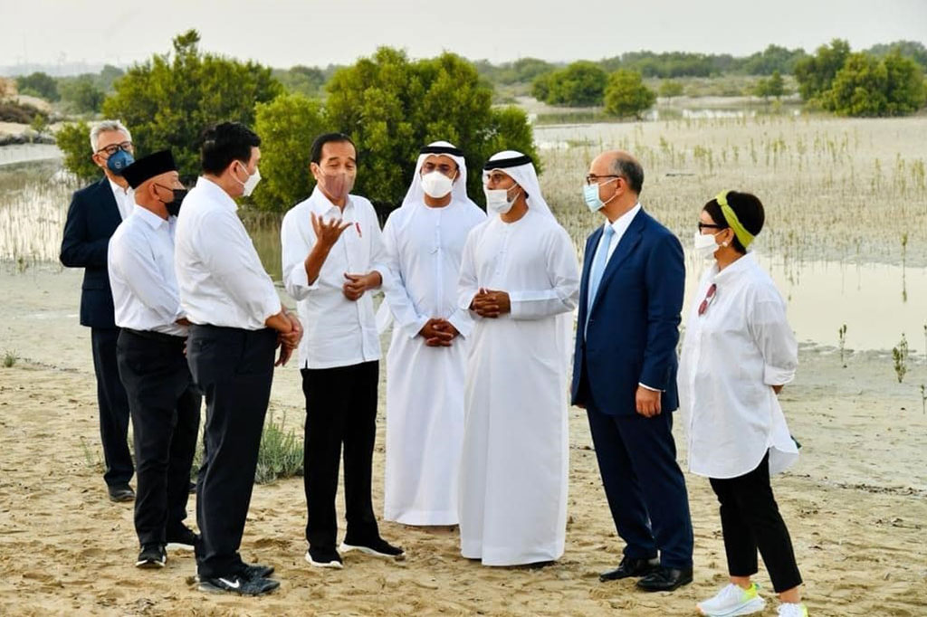 Jubail Mangrove Park sendiri merupakan taman hutan bakau pertama di Abu Dhabi dengan luas 120 ribu meter persegi yang mulai dibuka pada Kamis, 30 Januari 2020.